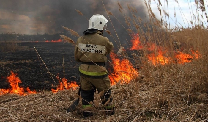 В Архангельской области начался период сельскохозяйственных и ландшафтных пожаров